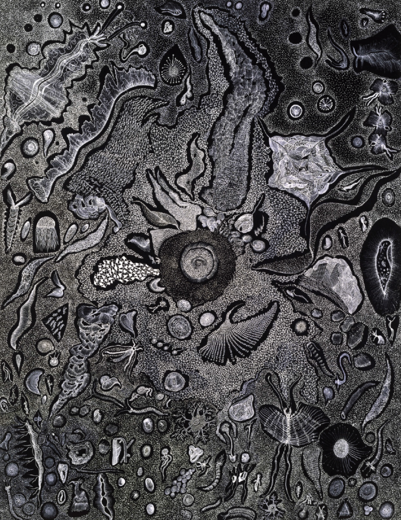 Notes D Art Brut Le Dessin Comme Drogue Hallucinogene